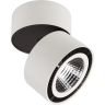 Светильник накладной LIGHTSTAR FORTE MURO 214850